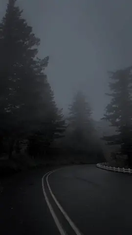 #الحمدلله_دائماً_وابداً 