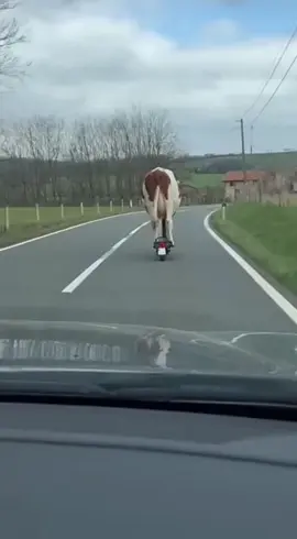 FAKE STORY - episode 13 - 