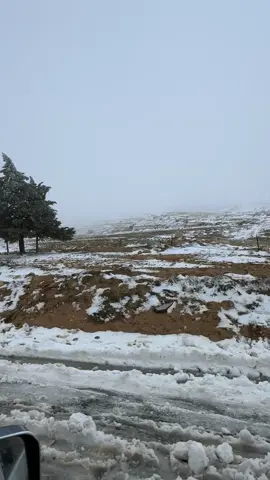 #ثلوج_الاردن #عمان_الاردن🇯🇴🤍 