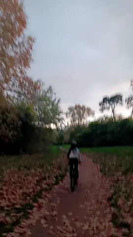 La nature m’avait manqué.