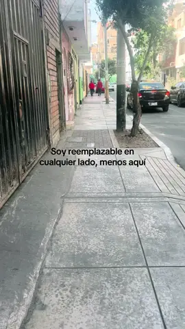 ❤️‍🩹 #mascota #viral #fyp #tendencia 