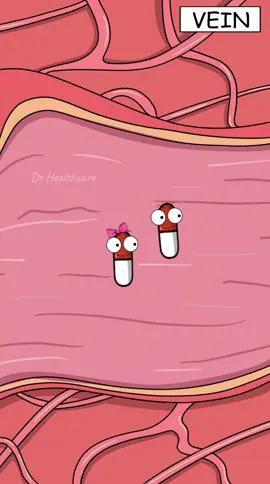 How do painkillers actually find the pain? 