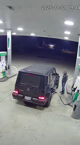 man stops for refueling and a moose comes from nowhere  #viral #tiktok #moose #fyp 