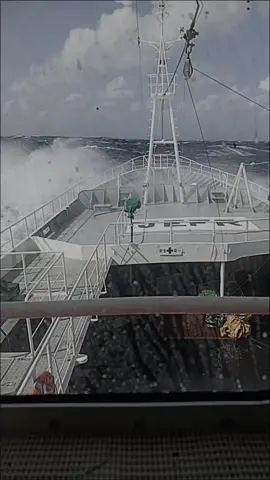 apa kabar yang 100% di darat #CapCut #pelautindonesai🇮🇩 #kerjakapalikan🇯🇵 