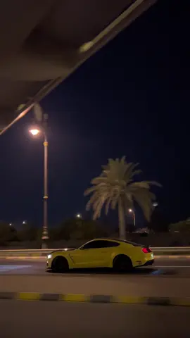 #موستنج #موسنتق #حنطور #mustang #عبدالرحمن_محمد 