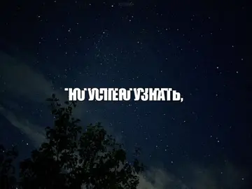 шест #рекомендации #щитпост #шест #лсп