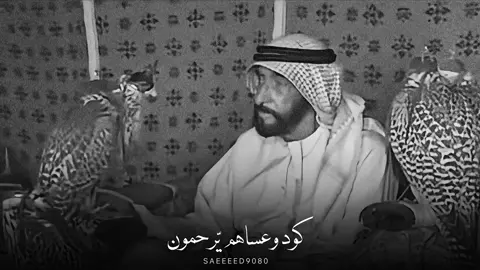 #الشيخ_زايد  #tiktok #reels #me #explore 