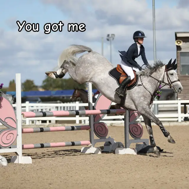 @Emily Irvine stole ur idea queen 