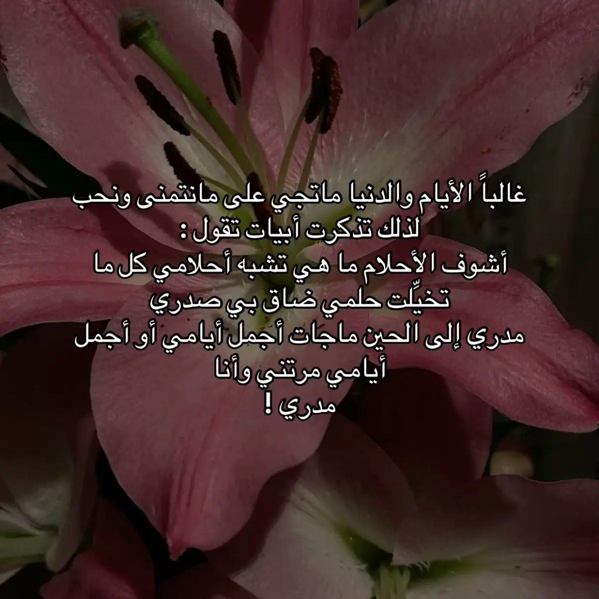 #explore #fyp #tiktok 