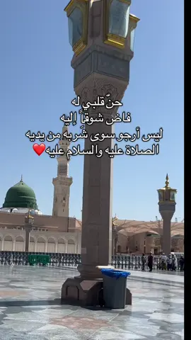 #pov #رسول_الله_صلى_الله_عليه_وسلم #المسجد_النبوي 