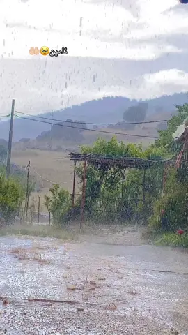 #ئامین. یارب# سیدەکان##سۆران #هەولێر #ئەکتیڤ بن #♥️🥹☺️🤎#