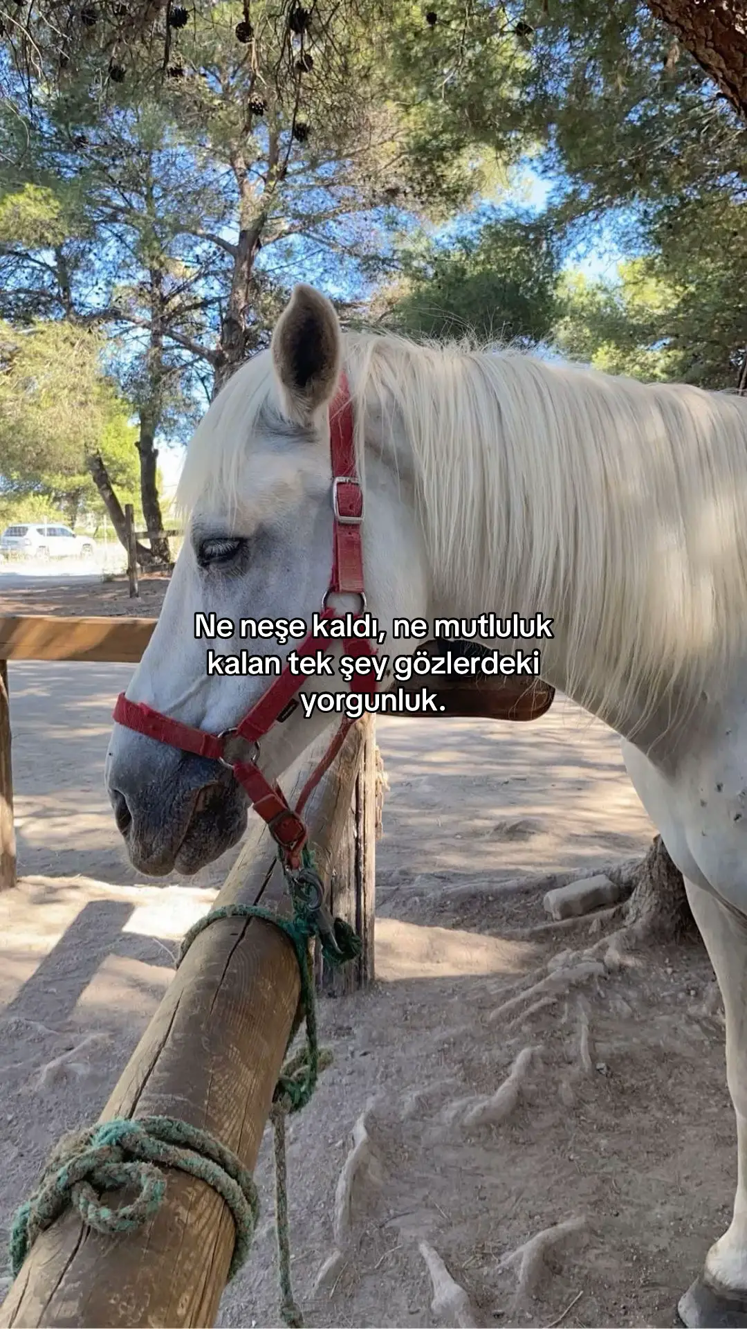 #beniöneçıkart #onecikarttiktok 