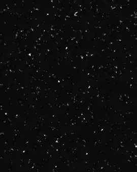 اومااال فارق👋🏻💔 @Ali omal y3 balddd 😍👽.  @💥👽AliOmal👽💥  #تصميم  #مشاهير_تيك_توك #الرتش_فى_زمه_الله💔 #fyp  #fppppppppppppppppppp 