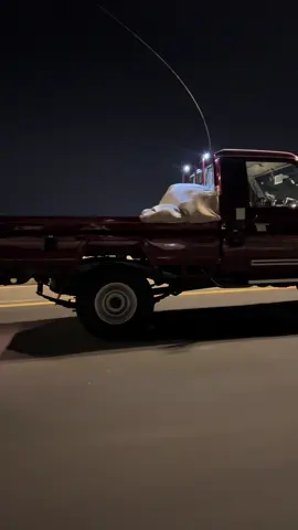 بوو عسسّكر 🌿😴 #العنابي #شاصات #اكسبلور #fyp #foryou 