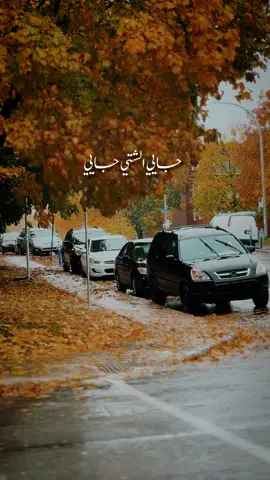 صوته قريب ل …🧡؟🍁🍂#canada_life🇨🇦 #مسلم #fyp 