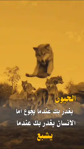 #عباراتكم_الفخمه📿📌 #اكسبلورexplore #unfrezzmyaccount 