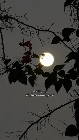 نُزهتي المفضلة ، هي في التحدّث مع عقلٍ رائع#تصويري #اكسبلورر #اكسبلور #fyp #القمر 