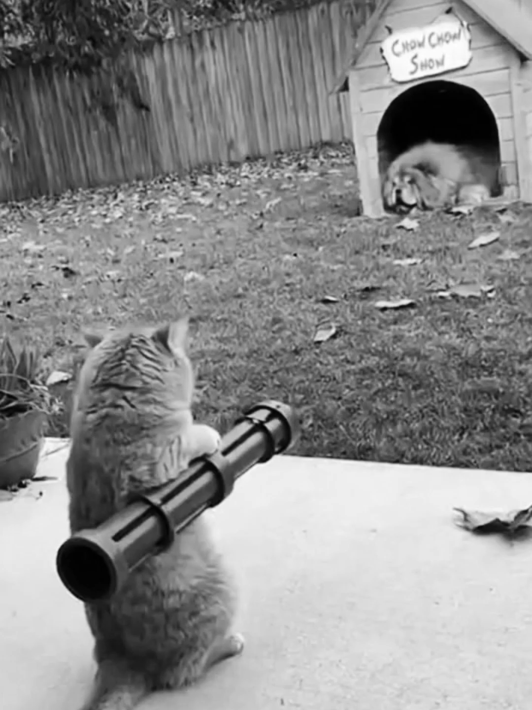 AI has officially turned backyard rivalries into blockbuster moments. Thanks to OpenAI’s Sora 2, the internet is packed with hyper-realistic clips of a mischievous cat aiming a tiny toy rocket at the dog’s hut complete with slow-motion launch, dramatic music, and one very confused dog. What started as a meme has become a viral showcase of how far AI video generation has come. Sora 2 can now recreate cinematic motion, realistic lighting, and hilarious animal reactions, all from a single text prompt. The result looks so real you might actually believe pets have started their own space program. It’s funny, chaotic, and ridiculously adorable all at once. Who do you think won this round, the cat or the dog? 👀💬 Join the fastest-growing AI community on TikTok @longliveai #ai #sora #cat #dog #viral #meme #aivideo #aiart #sora2 #openai#animals