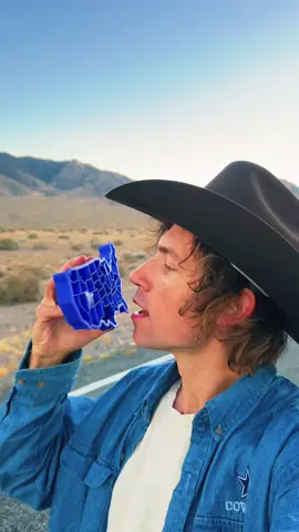 Utah take 2 38/50✅