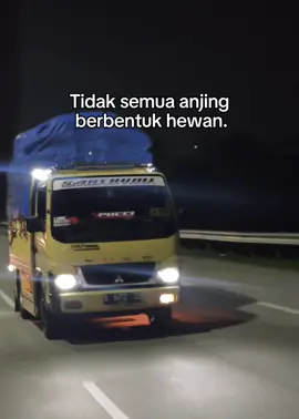 Ges Calager Euyy Anjing Budug Teh 😅🤟@setandar paris @irgiilham20 @alwii @RivaaRmdnii @dasarmilik33 @sf.nurhasanah21 #Teupaham #teunampijalmirudet #lakilakitidakbercerita #fypviral #infongopi 