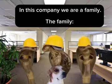 Snakes 🐍 #meme #work #coworkers #lazyemployees #boss 