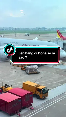 Quá trình chuẩn bị trước giờ khởi hành của chuyến bay Qatar Airways đi Doha – hàng hóa được chất lên cẩn thận, mọi thứ diễn ra chuyên nghiệp đúng chất “5 sao bầu trời”. ✈️ #Thanhosanbay #AirportLife #AviationLovers #QatarAirways #dohaqatar🇶🇦 