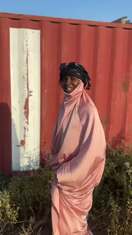 Stray bull3t from the north 💨🚅