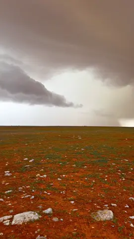 شف سحاب مختلف⛈️😍🥹❤️ #الشتاء🎻🎼 #ابراهيم_الحنيفات😻🏕️⛈️ #اكسبلورexplore 