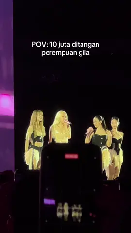 Tiket day 1, tiket day2, light stick 🫠