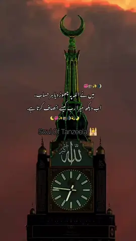 #creatorsearchinsights  #SoulOfTanzeela  #islamic_video   #1000k  #unfeezmyaccount 