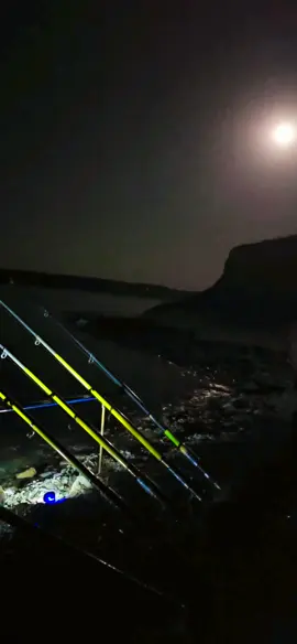 #وفا #درس #مرعشلي #سوريا🇸🇾 #الشرف 