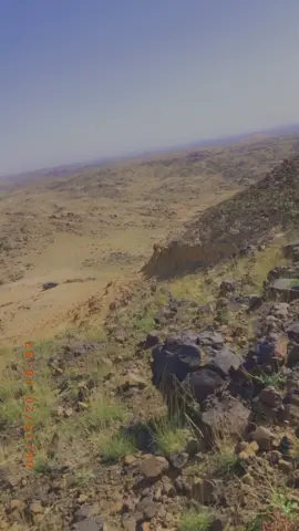 #جوف_ال_معمر #