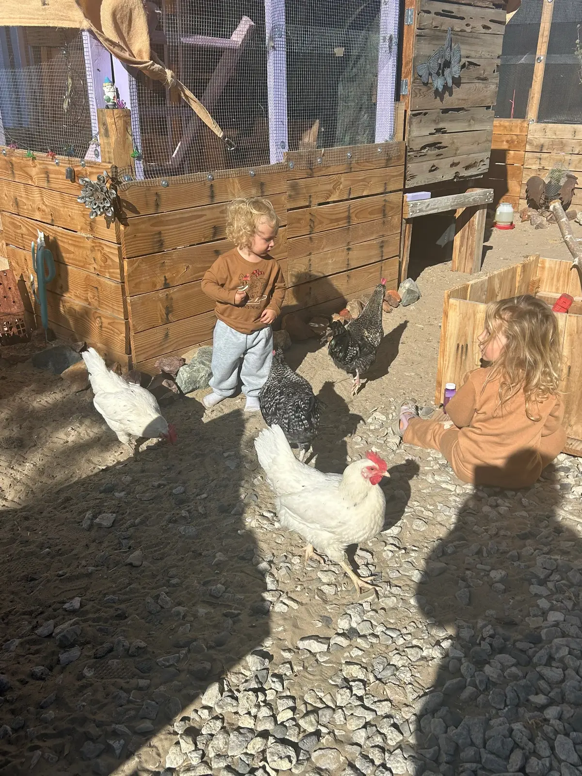 #offgridliving #goviral #thehealinghomestead #countrykids #engagement 