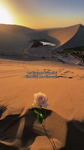 #fyp #рекомендации #qazaq #баласы #🦅 