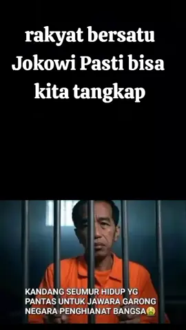 tangkap jokowi