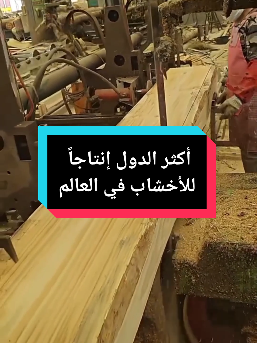 أكثر الدول إنتاجاً للأخشاب في العالم #اخشاب #كندا #امريكا #الصين #روسيا 