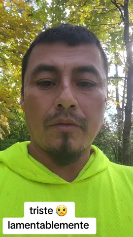 #si #quieres #tomar #licor #no maneja 