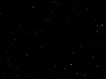 ومن شفت السبع💔😿#viral_video #foryou #VoiceEffects #fyp #تيم_مصممين_ونبيس😆🔥 