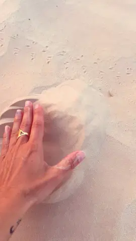 Désert de Tunisie Douz 🇹🇳#tunisie #desert #dunes #🇹🇳 