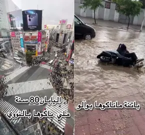 #اكسبلور #algeria🇩🇿___maroc___tunisie #شعب_الصيني_ماله_حل😂😂 #fypdongggggggg #fypp 