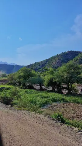 #المقاطره #هيجه_العبد