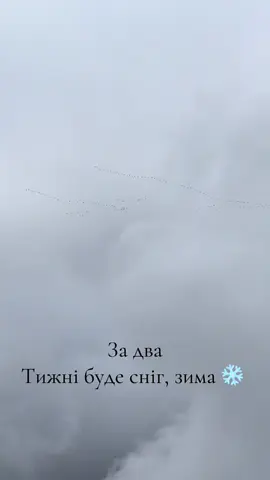 #карпатиукраїна🇺🇦 #Верховина #