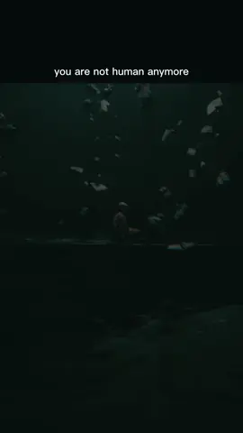 You observe everything, calculate everything — you are  above humans Drop “ME” if your mind isn’t human anymore. . . #NoDistraction #MonkMode #EliteMindset #FocusBeast #DisciplineOverEverything         