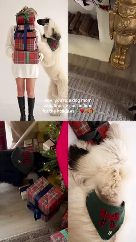 hi! 👋🏻  @breezieandgeorgie 