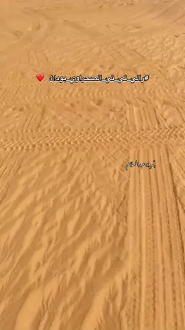 #رالي_تي_تي_الصحراوي_بودان #ليبيا🇱🇾 #ليبيا_طرابلس_مصر_تونس_المغرب_الخليج #الشعب_الصيني_ماله_حل😂😂 #مالي_خلق_احط_هاشتاقات 