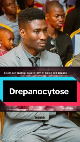 Comprendre la Drepanocytose 