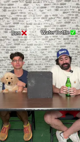 The Lying Challenge with my Penpal ✍️🐶 #fyp #challenge #guess 