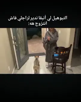 🤣🤣🤣🙂#إكسبلوررررررر_explore #creatorsearchinsights #لايكات  ✨ FOLLOW O LAIKE M3AK 💫 ALLAH Y7FDEK AZIN 🙂😂😂😂#إكسبلوررررررر_explore #creatorsearchinsights 