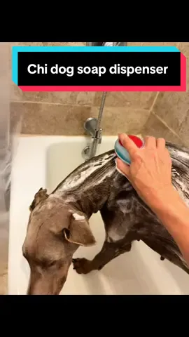 This will make a great stocking stuffer for your fur baby!#chidogproducts #furbaby #dogsofttiktok #bathtime 