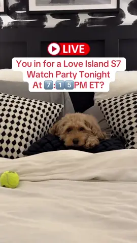 Nicolandria Nation, you in for tonight!? 👀 #LoveIsland #loveislandusa #loveislandusaseason7 #nicolandria  #olandria 